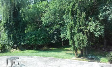 Beautiful yard