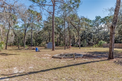 5641 S Woodside Terrace, Homosassa, FL 34446 - photo 4