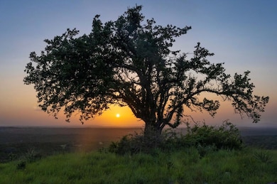 View of nature at dusk