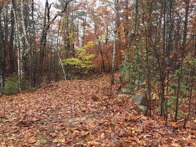 29 Chimera Hill Rd, Windham, ME 04062 - photo 3