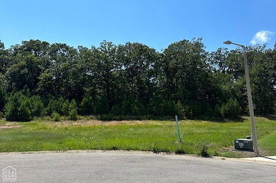 3911 Wigeon Cove, Jonesboro, AR 72404 - photo 3