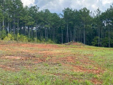 135 Cedar Ridge Rd, Lucedale, MS 39452 - photo 7