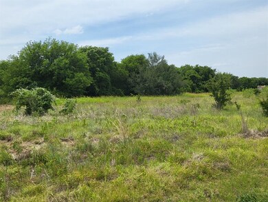 22170 Stanwood Dr, Whitney, TX 76692 - photo 3