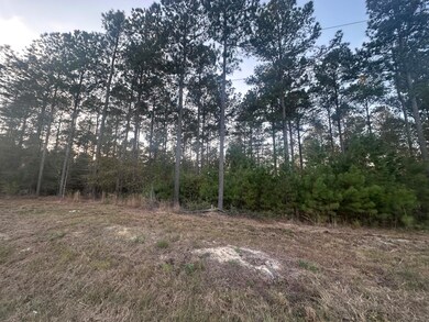 Lot 2 Blacks Rd, Williston, SC 29853 - photo 3