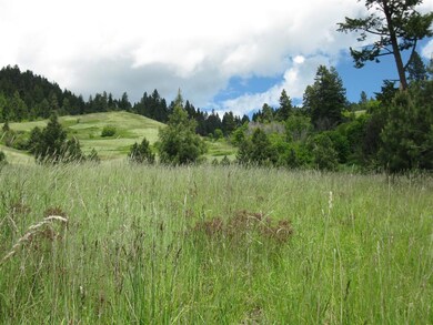 Valley view