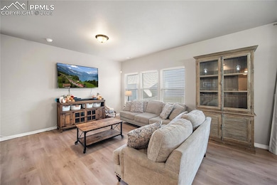 Spacious  and bringt living room open to the kitchen and dining space.