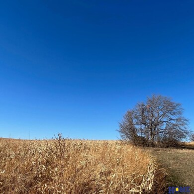 40 Acres County Rd A & County Rd 22, Ceresco, NE 68017 - photo 7