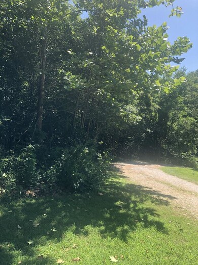 Lot 2 Orchid Dr, Neosho, MO 64850 - photo 3