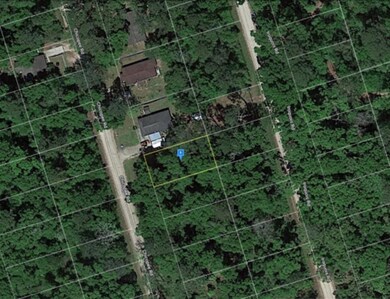 0 Chicopee Rd unit 365262, Crawfordville, FL 32327 - photo 3