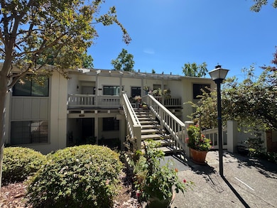 5424 Cribari Ct, San Jose, CA 95135 - photo 2