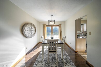 1170 Crackel Rd, Aurora, OH 44202 - photo 5