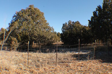 IMG_8934