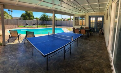 backyard1