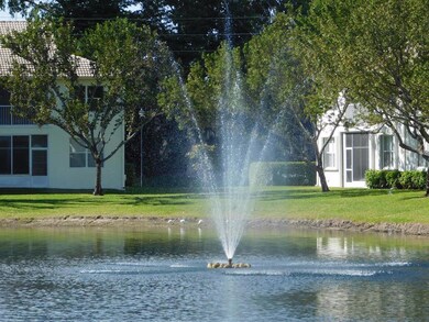 Long Lake View