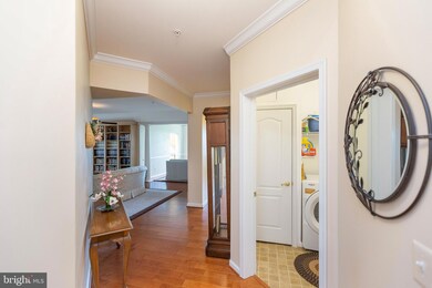 8608 Fluttering Leaf Trail, Odenton, MD 21113 - photo 4