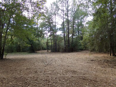 24883 Nightingale Ln, Hockley, TX 77447 - photo 3