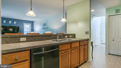 55 Gentleness Dr, Ephrata, PA 17522 - photo 7