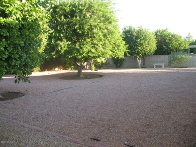 Very large area---could be a swim pool