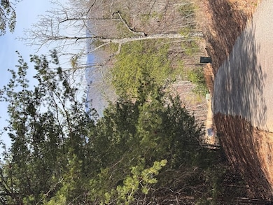 LT 35 Crested Eagle Ln, Murphy, NC 28906 - photo 4