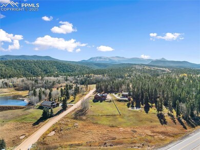 19 Worley Rd, Divide, CO 80814 - photo 5