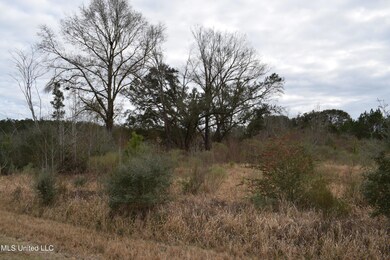 6.50+/- Ac Highway 63 S, Lucedale, MS 39452 - photo 5