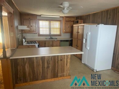 201 W Rainbow Dr, Hobbs, NM 88240 - photo 4