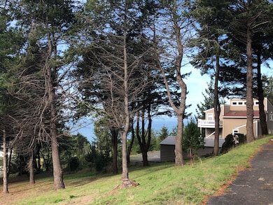 134 Albatross Rd, Whitethorn, CA 95589 - photo 2