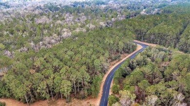 LOT 83 Fiddlers Cove NE, Townsend, GA 31331 - photo 6