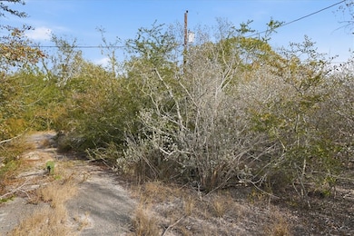 00 Huajilla Bend Rd, Sandia, TX 78383 - photo 5