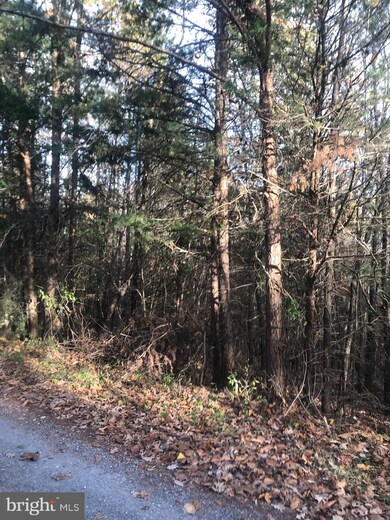 0 Herdman Hill Rd, 3, Marksville, VA 22835 - photo 2