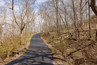 1650 N Nelson Mill Rd, Nixa, MO 65714 - photo 2