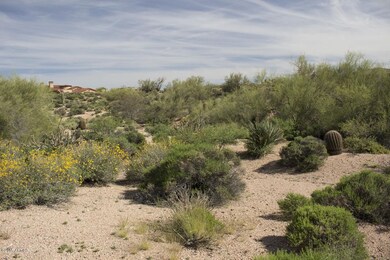 102 Gambel Quail WEB 1.jpg