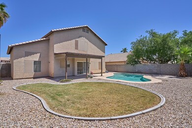 Backyard3