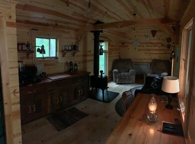 V/L Woodland Park, Bitely, MI 49309 - photo 6