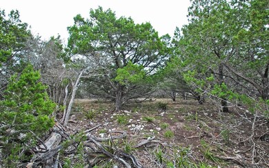 0 Balcones Dr unit 5 82424, Fredericksburg, TX 78624 - photo 6