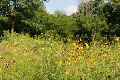 5669 Bellbrook Rd, Brooklyn, WI 53521 - photo 7