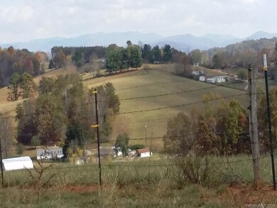 00 Old Newfound Rd, Leicester, NC 28748 - photo 6