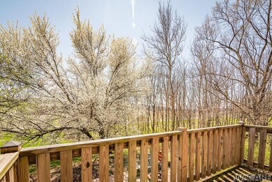 view from front deck