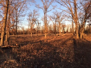 0 Asher Ct unit 1036576, Siloam Springs, AR 72761 - photo 2