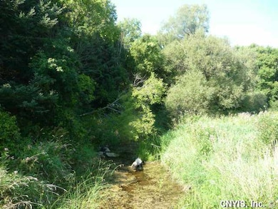 Land/Lot