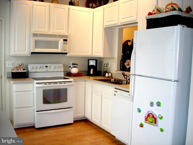 11111 Williamsburg Ct, Fredericksburg, VA 22407 - photo 6