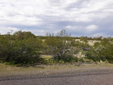 20200129_125911 (1)