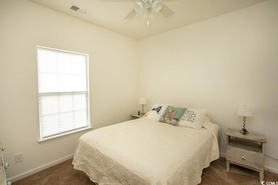 Carpeted bedroom with multiple windows and ceiling