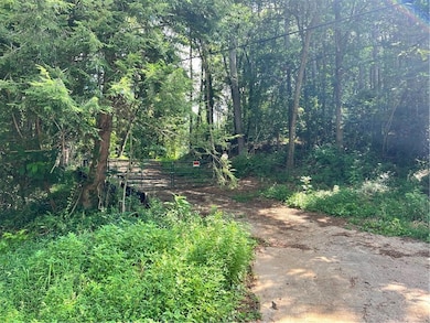 727 Lower Scott Mill Rd, Canton, GA 30115 - photo 4