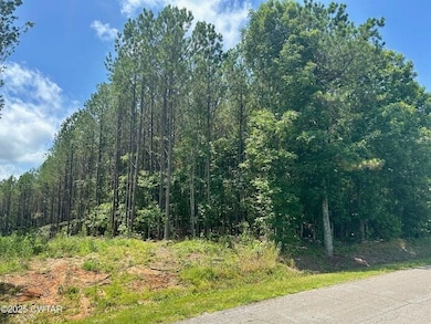 0 Moonshine Loop, Lexington, TN 38351 - photo 4