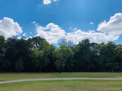 689 E Jenkins Ct, Hernando, FL 34442 - photo 2