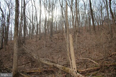 0 Greystone Dr unit VAWR142706, Front Royal, VA 22630 - photo 2