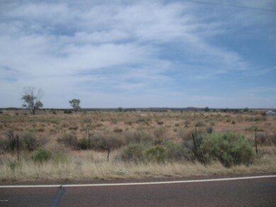 0 S Bourdon Ranch Rd unit 220150, Taylor, AZ 85939 - photo 3