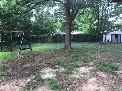 Big Shady Backyard