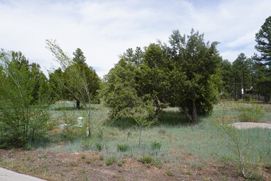 781 Bushman, Show Low, AZ 85901 - photo 6